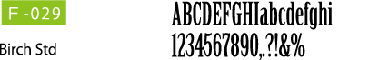 Birch Std
